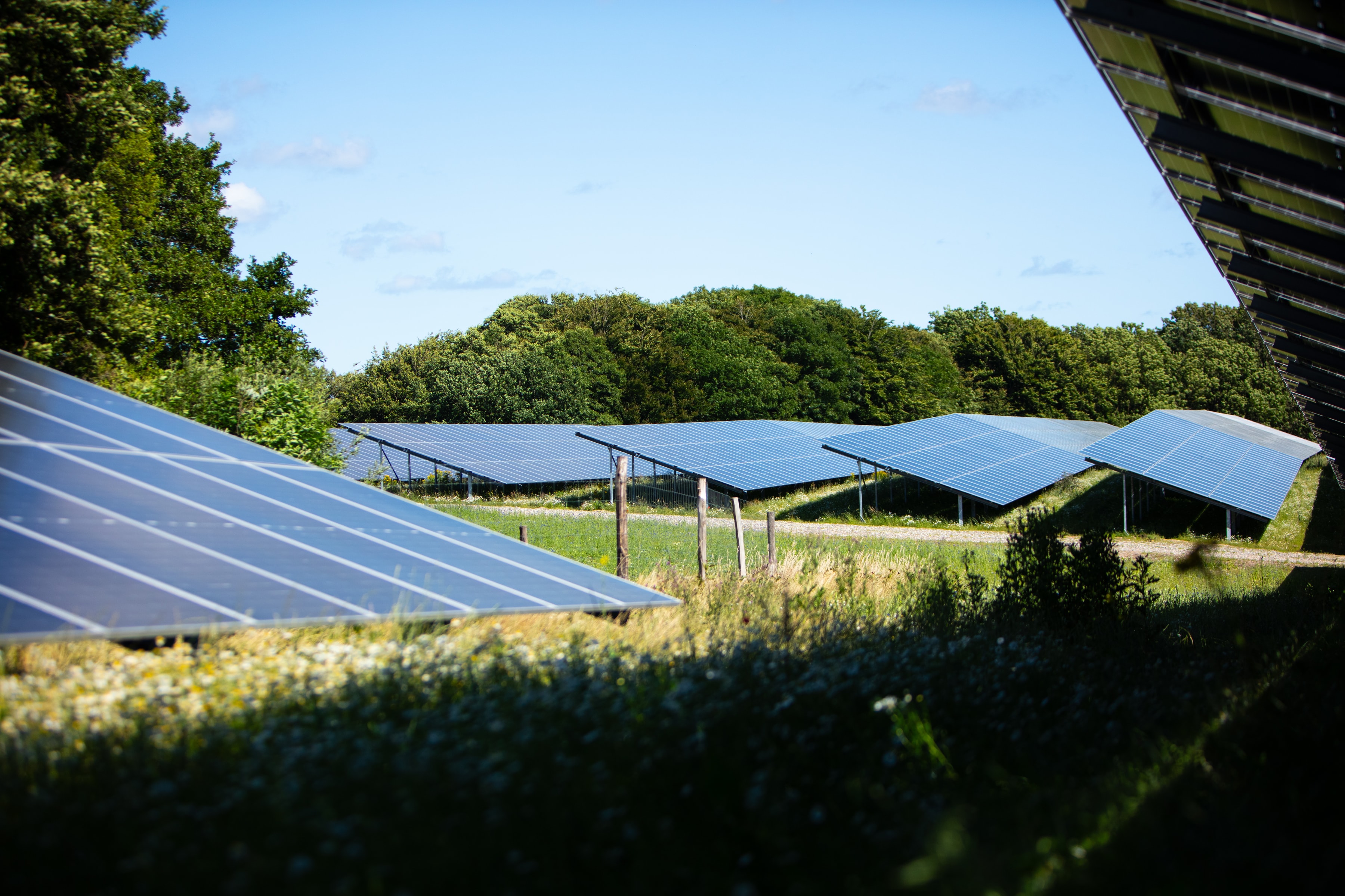 Image of a solar park surrounded by trees.