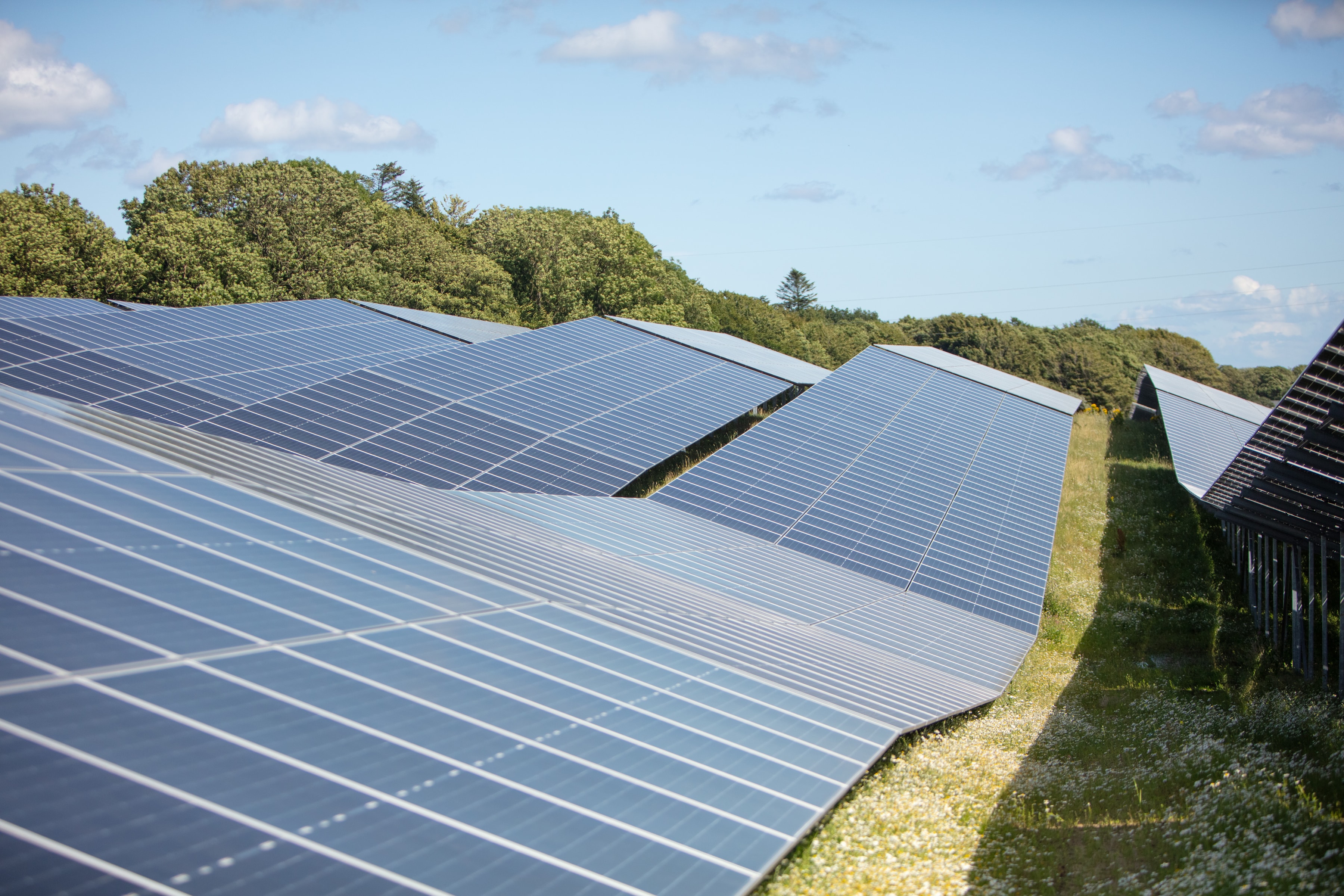 Image of curved solar panels in daylight