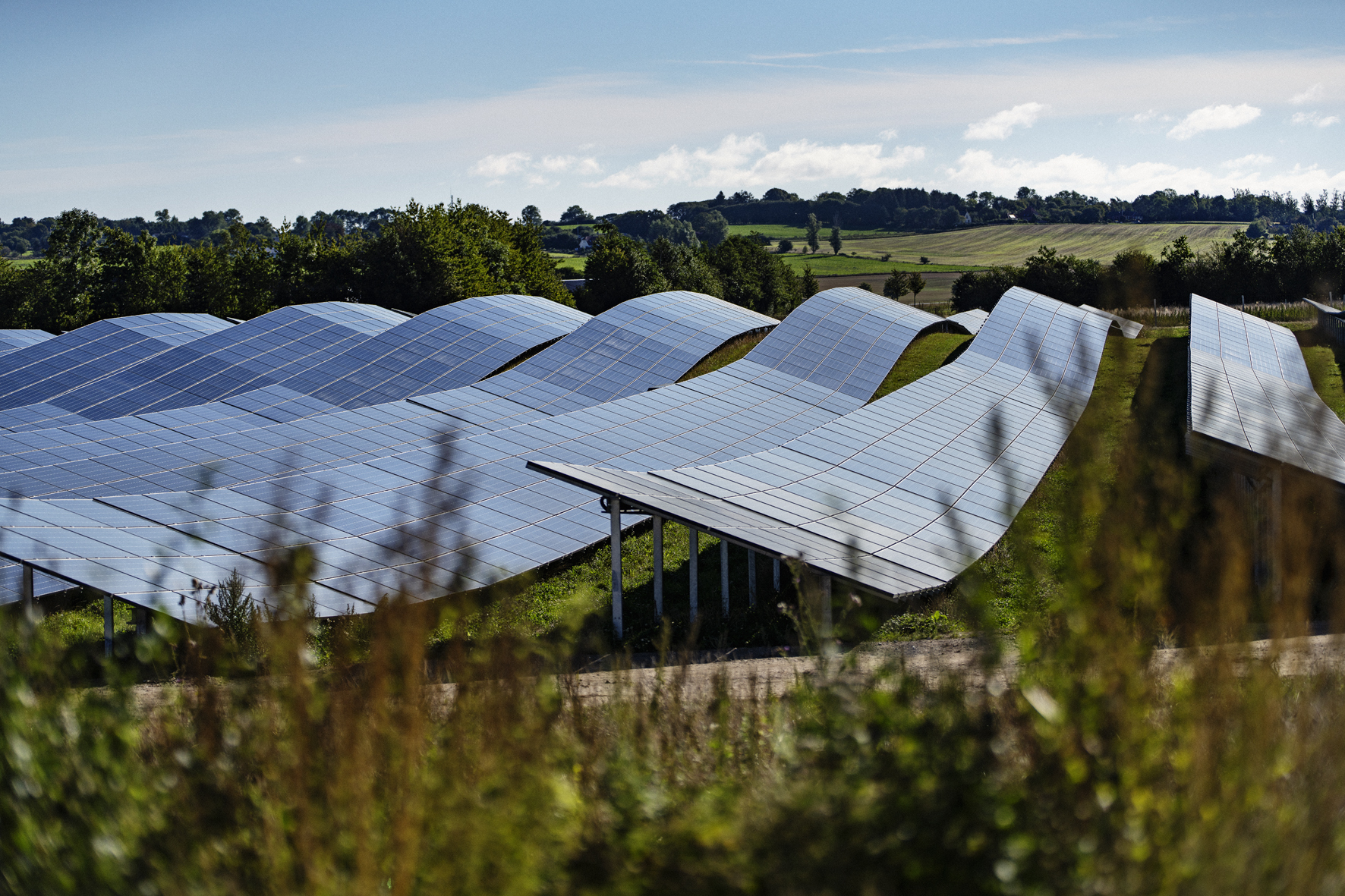 Image of wild flowers with curved solar panels in the background