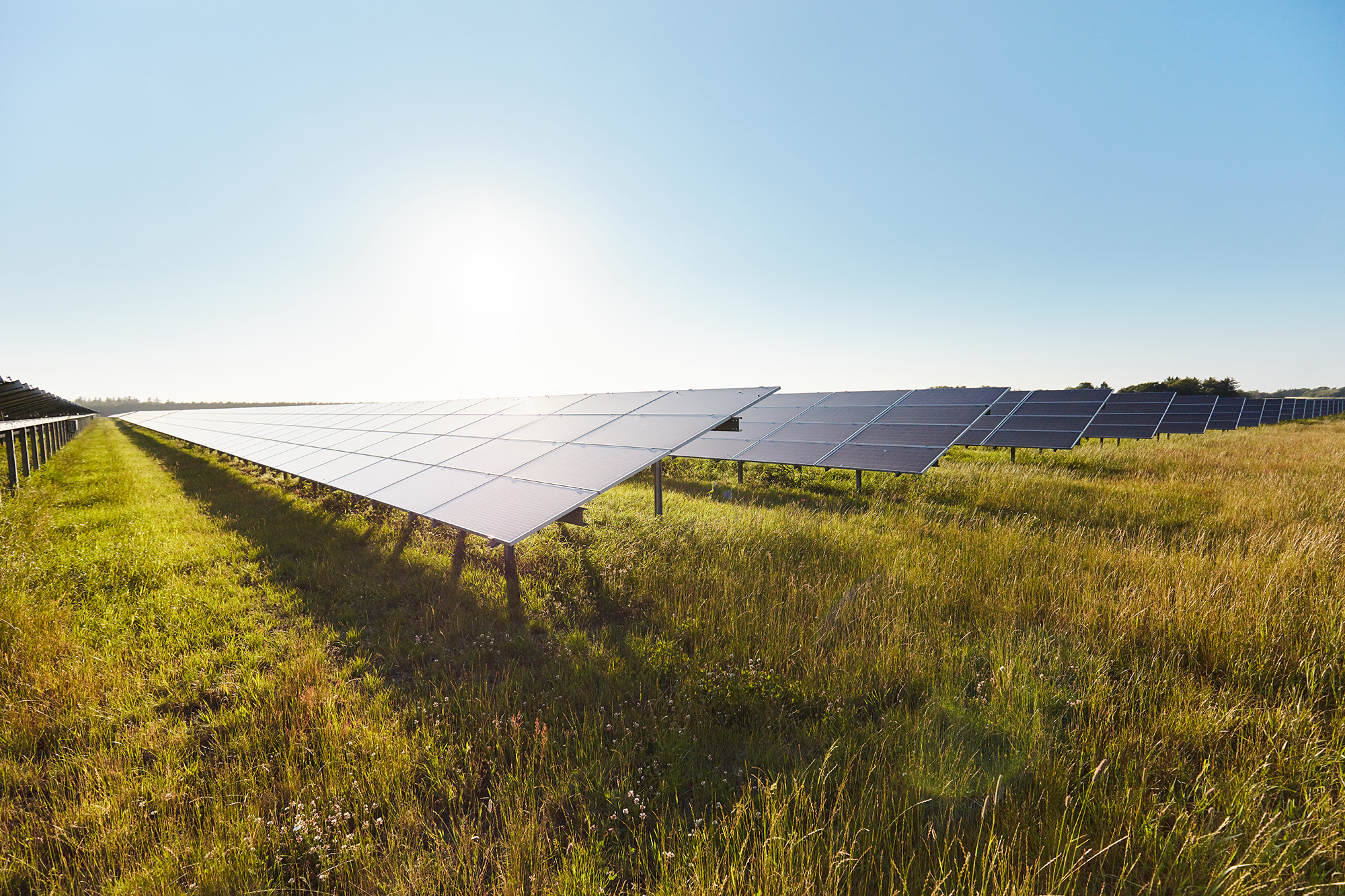 Two new solar parks are now connected to the Danish grid.