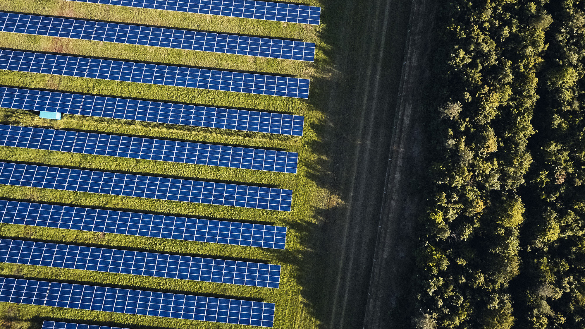 Better Energy strengthens board capacity