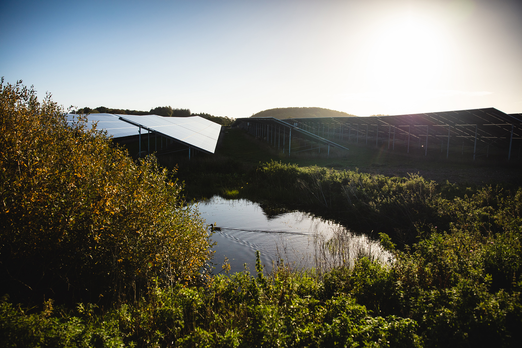 Image of a lake in front of solar panels