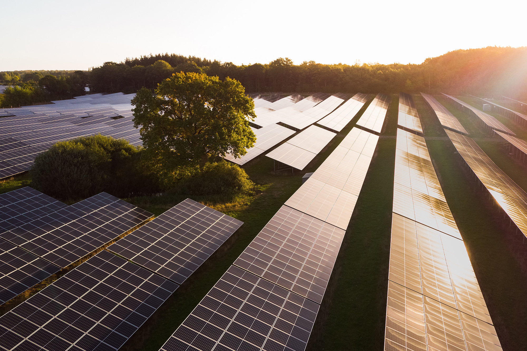 Image of solar panels at sunset