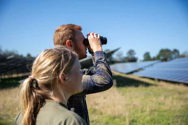 People in solar park